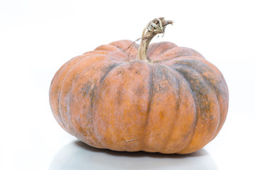 Fresh raw pumpkin isolated on white. Organic plant