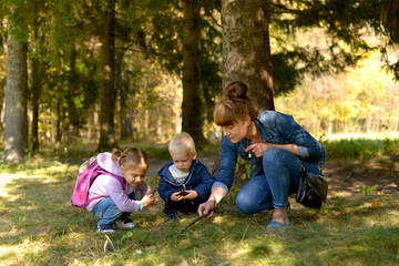 Fototapeta premium Mom and kids walk in the forest Park in the Golden autumn. They're looking at something interesting in the grass. 