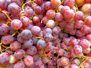 organic juicy red grapes top view closeup, natural background
