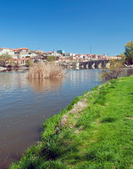 Obraz premium Zamora City view from the Douro can see your wall