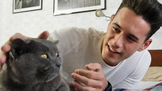 Handsome Young Animal-Lover Man on a Bed, Hugging and Cuddling his Gray Domestic Cat Pet.
