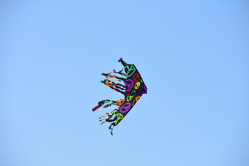 Black and Purple Kite