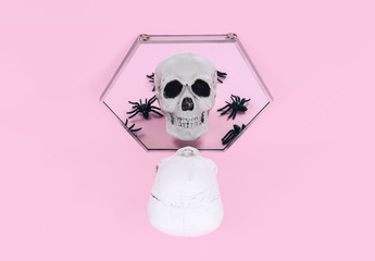 Skull on trendy pastel pink background.