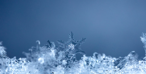 photo real snowflakes during a snowfall, under natural conditions at low temperature