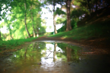 summer park landscape, green trees and walkway in the summer city park