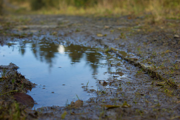 puddle in wet soil on the road with leaves and nature reflection