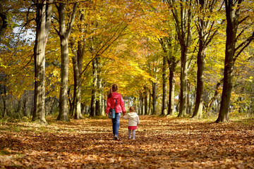 Fototapeta premium Girls-sisters walk in the forest Park in the Golden autumn.