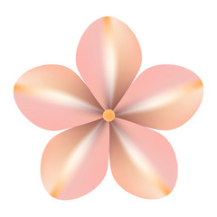 Fototapeta na wymiar Cute pink head of flower, top view, floral element isolated on white background. Vector illustration. 