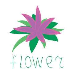 Tropical flower, plumeria,  isolated on white background. Hand drawn word flower. Logo, icon. Vector illustration.