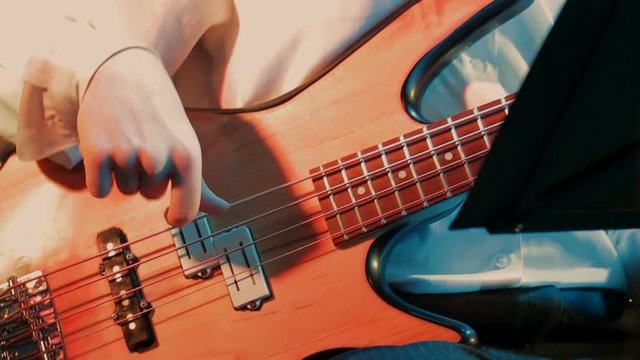 Bass guitarist at jazz festival