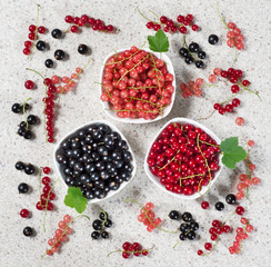 Ripe currants in plates and in bulk on the table.
