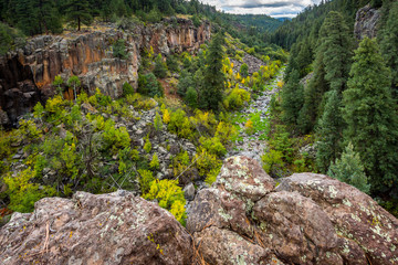 Sycamore Canyon Arizona