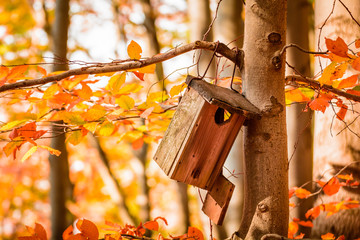 Nistkasten am Baum