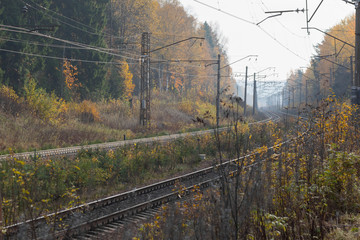 Autumn nature around the railways in Russia