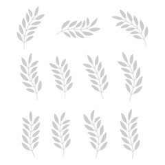 Set of plants isolated on white background.  Floral design elements set. Foliage icon. Tree branch with leaves. Vector illustration.
