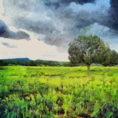 Hand drawing watercolor art on canvas. Artistic big print. Original modern painting. Acrylic dry brush background. Beautiful summer landscape. Green grass. Single field tree. Storm clouds     © Pavel