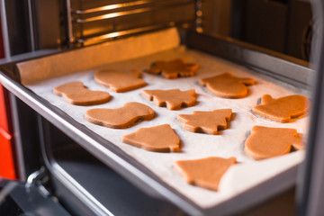 Naklejka na ściany i meble Preparing ginger christmas cookies in oven
