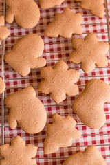 Homemade christmas ginger cookies on table
