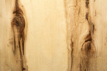 surface of a wooden board with dark knots and lines, birch texture, close up abstract background