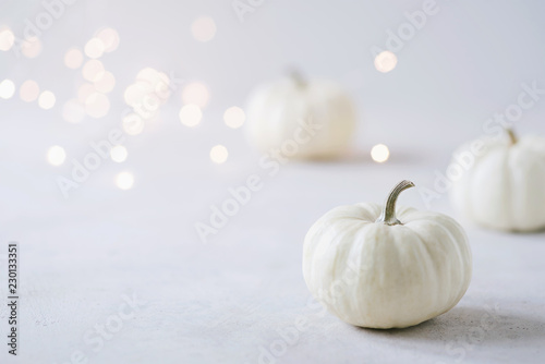 Herbstlich, eleganter Hintergrund mit weißen Kürbissen, passend zu Halloween