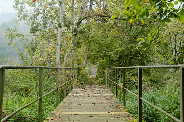Fototapeta na wymiar Alte Brücke im Wald.