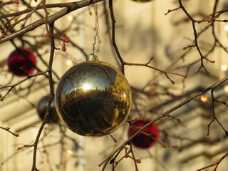 Christmas decorations on the city street. Christmas balls hanging on winter tree branches, festive background