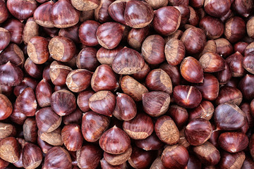 CASTAÑAS DE OTOÑO