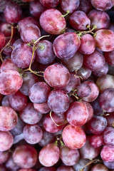 RACIMO DE UVAS TINTAS
