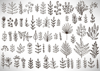 Floral set of black outline hand drawn elements, tree branch, bush, plant, tropical leaves, flowers, branches, petals isolated on white. Collection for design. Vector illustration.
