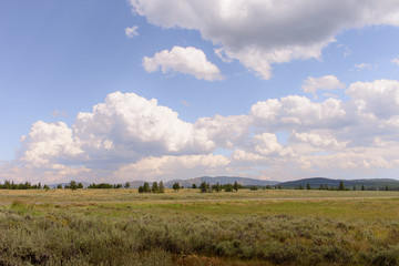 Fototapeta na wymiar Cloud Show at Yellowstone