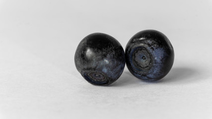 blueberries on white background