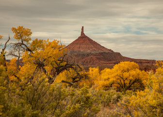 Golden cottonwood trees and sandstone monolith spire