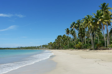 Beautiful natural beach, Samana, Dominican Republic