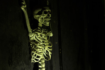 Green lit tortured skeleton hanging on the wall