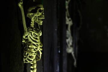 Green lit tortured skeleton hanging on the wall