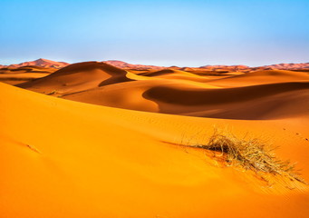Amazing view of sand dunes in the Sahara Desert. Location: Sahara Desert, Merzouga, Morocco. Artistic picture. Beauty world.