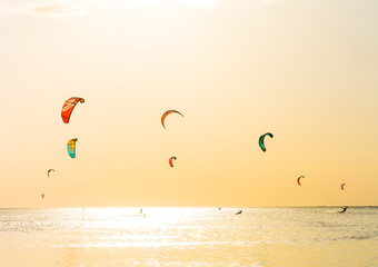 Kite-surfing and a lot of silhouettes of kites in the sky. Holidays on nature. Artistic picture. Beauty world.