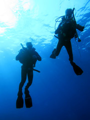 Taucher-Silhouette im Gegenlicht