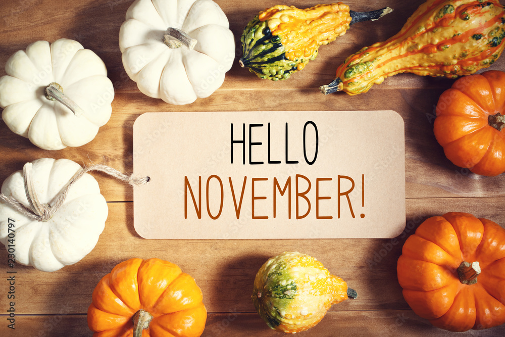 Wall mural hello november message with collection of pumpkins on a wooden table