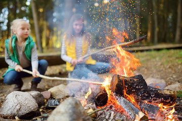 Cute little sisters roasting hotdogs on sticks at bonfire. Children having fun at camp fire. Camping with kids in fall forest. - obrazy, fototapety, plakaty