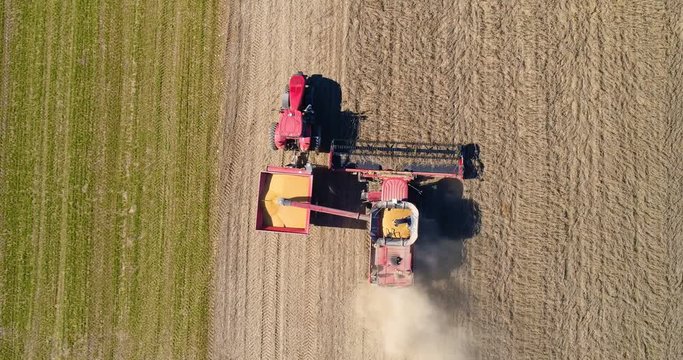 Aerial drone top view of harvester combine working in the field