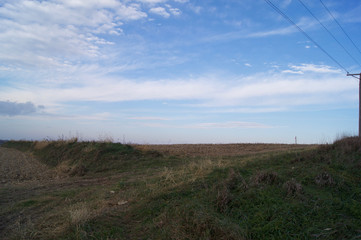 Corn and Clouds