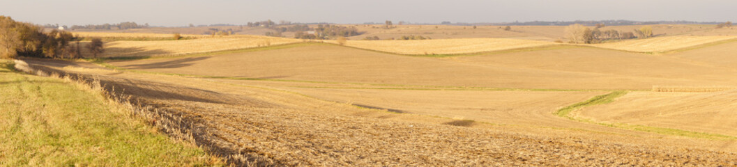 Corn and Clouds Panoramic 