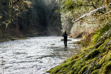Steelhead fishing