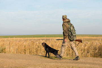 Hunters with a german drathaar and spaniel, pigeon hunting with dogs in reflective vests	