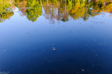 Trees with autumn leaves are reflected in the water / Trees with colorful autumn leaves are reflected in the water.