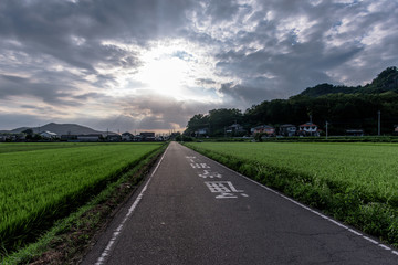 Road and Sky (Letter Means a School Road)