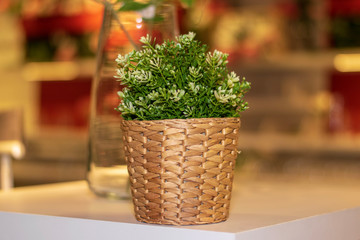 flowers in a basket