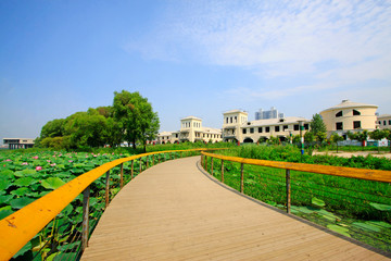 Obraz premium Water park scenery