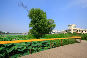 Water park scenery